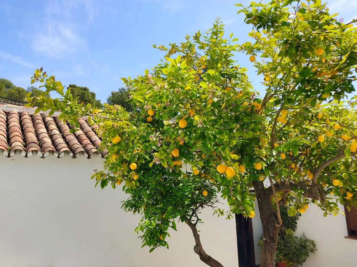 Holiday home Casa El Patio Del Limon, Con Piscina Villa Montecorto Spain